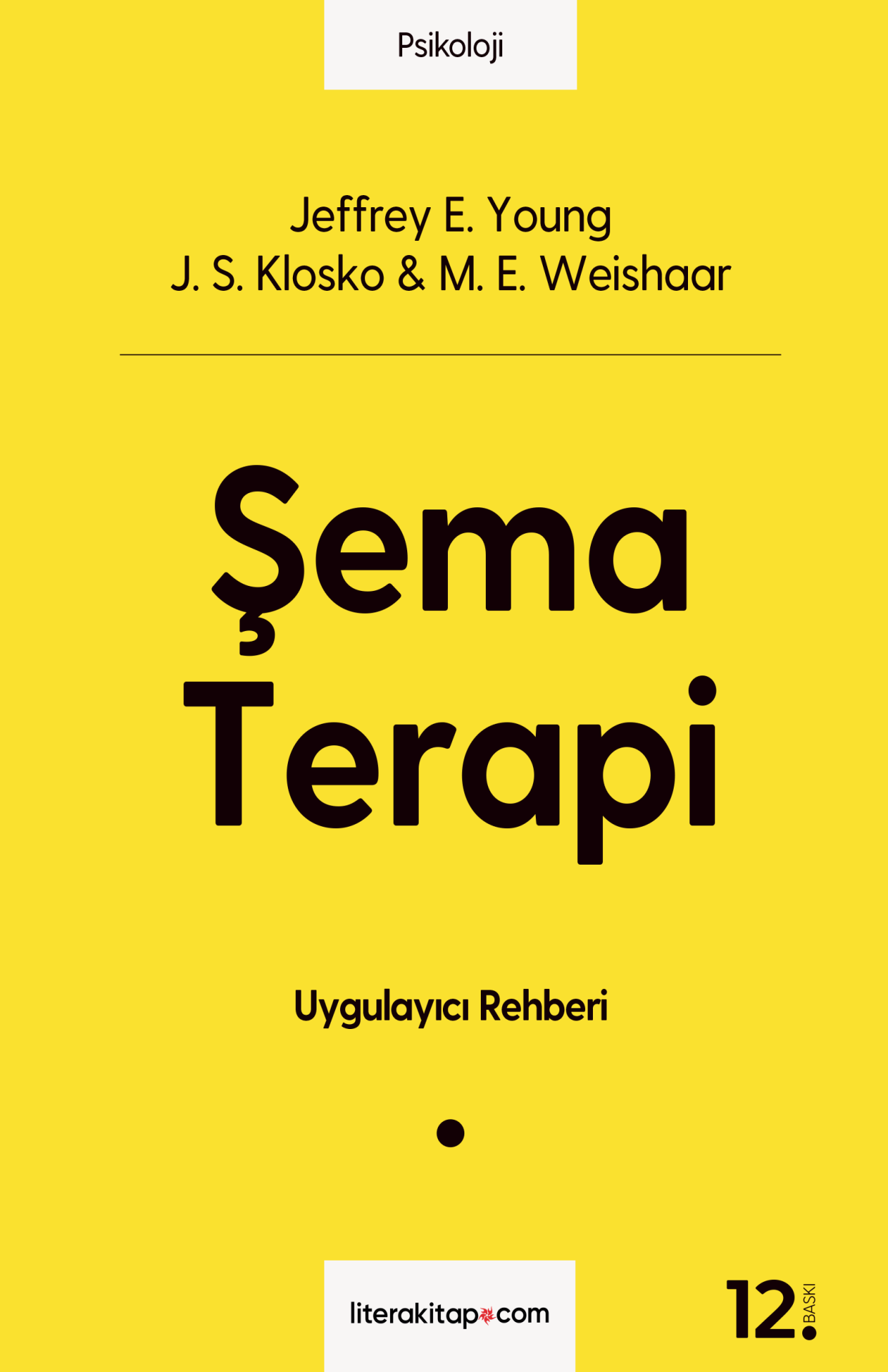 Şema Terapi