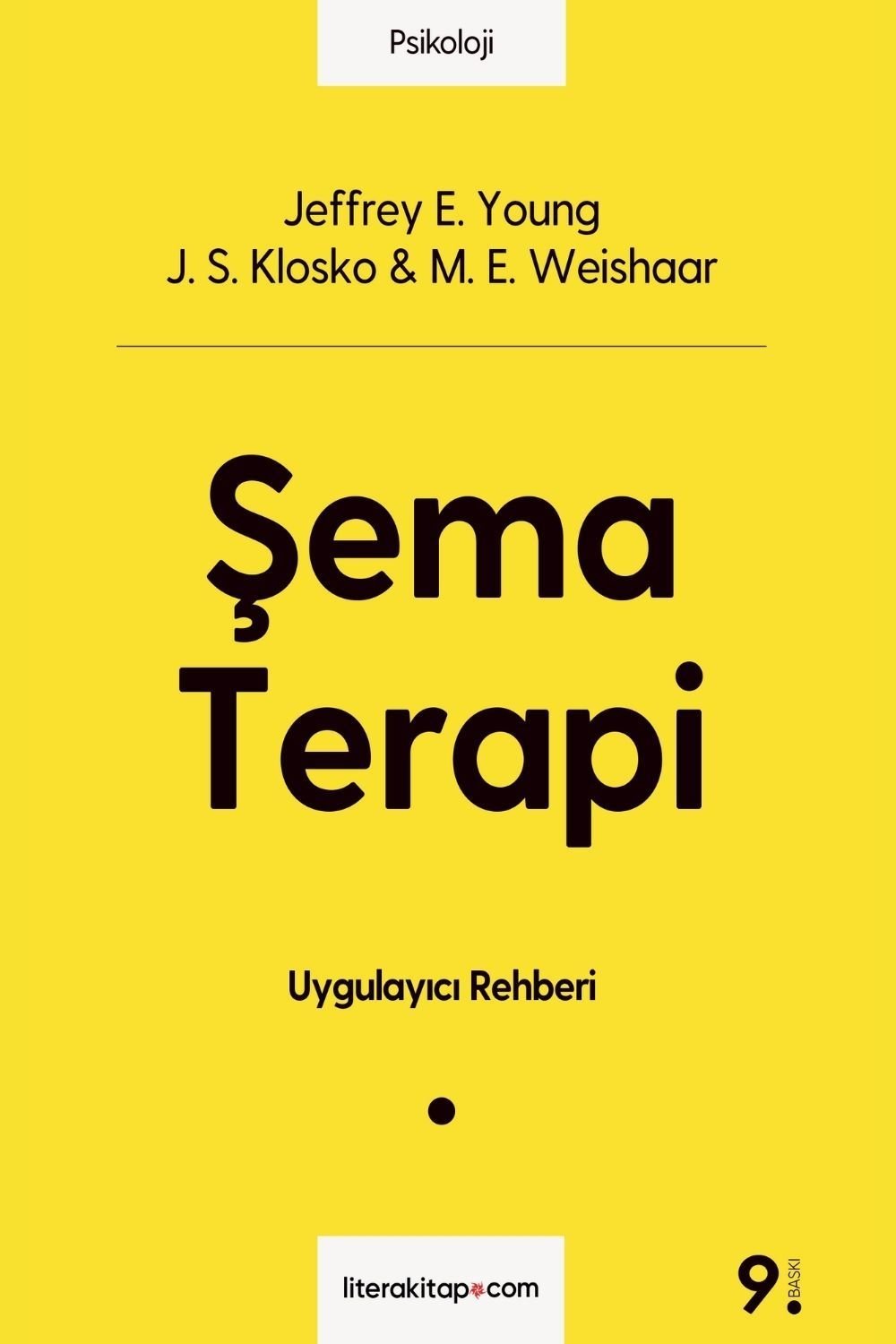 Şema Terapi